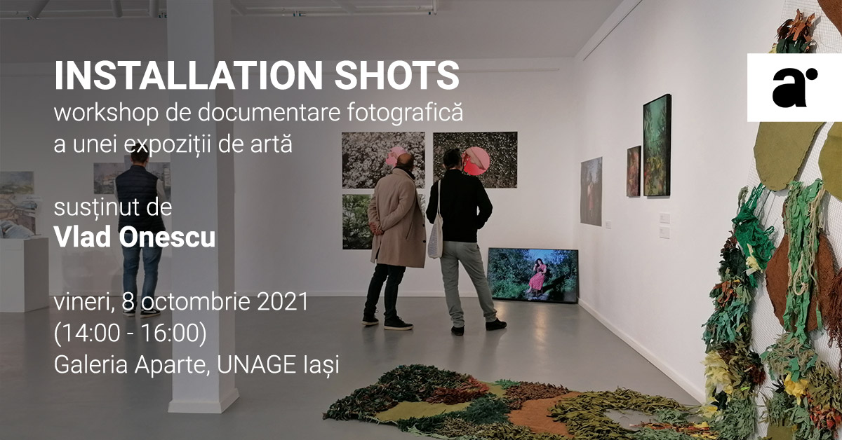 INSTALLATION SHOTS: workshop de documentare fotografică a unei expoziții de artă